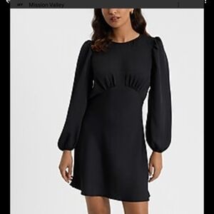 Express Elegant Black Long Sleeve Dress